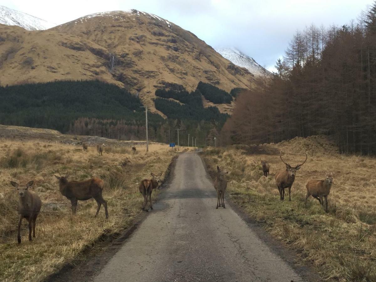 Park View Bed & Breakfast Ballachulish Bagian luar foto